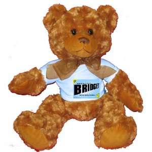  FROM THE LOINS OF MY MOTHER COMES BRIDGET Plush Teddy Bear 