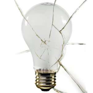  Shatter Resistant   150 Watt Light Bulb   A21   Frosted 
