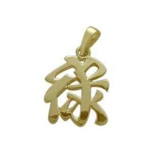  10 Karat Yellow Gold Chinese WEALTH Pendant with 18 chain 
