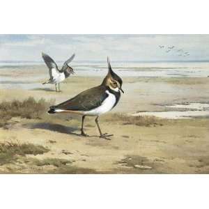  Hand Made Oil Reproduction   Archibald Thorburn   32 x 22 