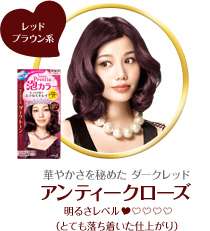 Kao Japan liese Prettia Bubble Trendy Hair Color Kit  