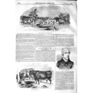   1843 FLEMISH FARM WINDSOR PARK HOSLER HIGHLAND CATTLE