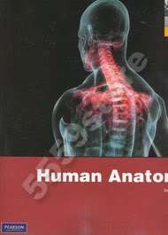 New* Human Anatomy 7E by Frederic H. Martini 9780321688156  