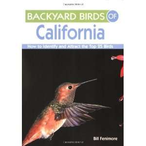  Backyard Birds of California How to Identify and Attract 