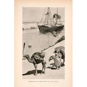  1903 Halftone Print Mediterranean Camel Ismailia Suez 