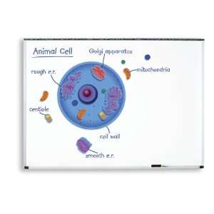  Learning Resources Giant Magnetic Animal Cell (LER6039 