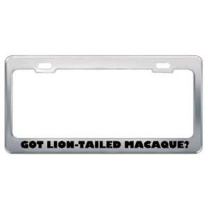 Got Lion Tailed Macaque? Animals Pets Metal License Plate Frame Holder 
