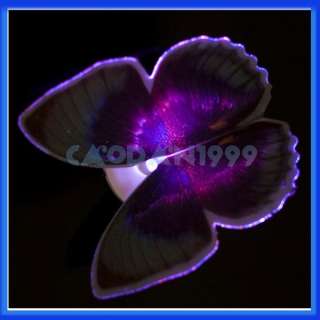 description brand new and high quality fiber butterfly led light the