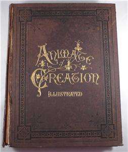   CREATION   VOLUME III   BIRDS   ILLUS   1898   J.G. WOOD  