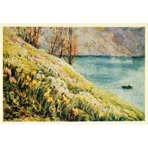  1907 Print Flowers Garden Lake Lucerne Swiss Switzerland 