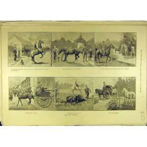    1889 Horse Purchase Carriage Knackers Squire Equine