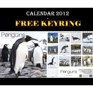  Penguins Calendar 2012 + Free Keyring AVONSIDE Books