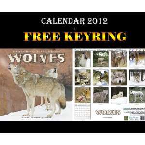  Wolves Calendar 2012 + Free Keyring AVONSIDE Books