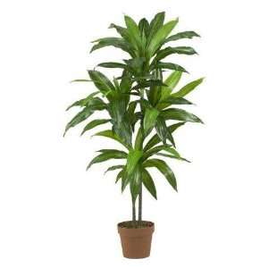   Natural 48 Inch Dracaena Silk Plant (Real Touch)