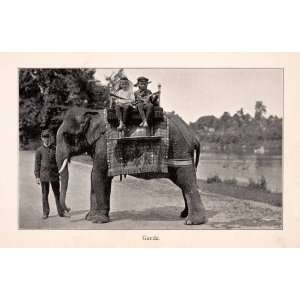  1910 Halftone Print Central Park Zoo New York Elephant 