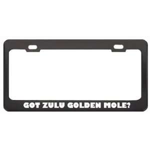 Got Zulu Golden Mole? Animals Pets Black Metal License Plate Frame 