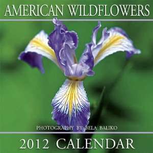  American Wildflowers 2012 Wall Calendar