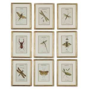  Uttermost 16.8 Inch Insect Collection (Set of 9) Framed 