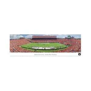  Jordan Hare Stadium Auburn Tigers Panoramic Print Sports 
