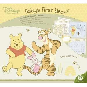  Winnie the Pooh Babys First Year with Stickers 2011 Wall 