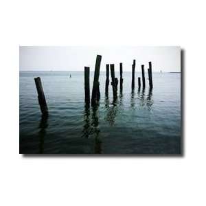  Pilings Ii Giclee Print