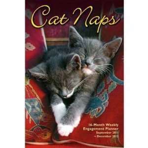  Cat Naps 2012 Engagement Calendar