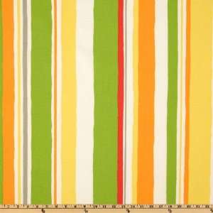  54 Wide Robert Allen Indoor/Outdoor Baja Stripe Poppy Fabric 