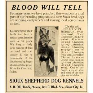  1928 Ad Sioux German Shepherds Dullo Von Hoheluft Champ 