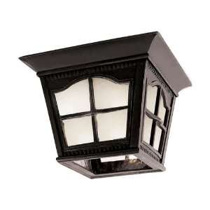  Trans Globe Lighting PL 5427 BK Energy Efficient 1 Light 