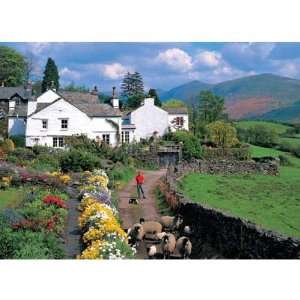  Lake District Jigsaw Puzzle   1000PC Toys & Games