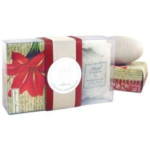   Amaryllis Soap & Mineral Soak, Acetate Box With Band & Ribbon