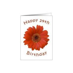  Orange gerbera   Happy 24th Birthday Card Toys & Games