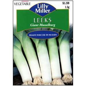  Leek Giant Musselburg Patio, Lawn & Garden