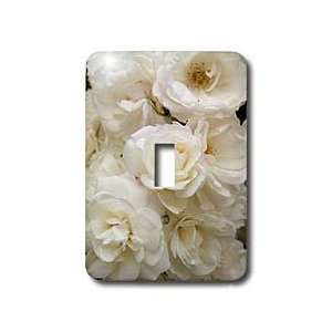 Janna Salak Photography Flowers   Beautiful White Roses   Light Switch 