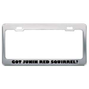   Red Squirrel? Animals Pets Metal License Plate Frame Holder Border Tag
