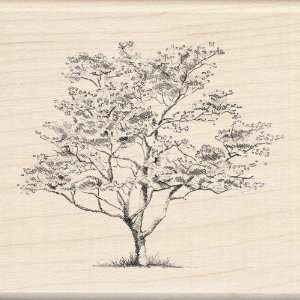    Inkadinkado Small Dogwood Wood Stamp Arts, Crafts & Sewing