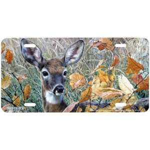 3127 Autumn Lady License Plate Car Auto Novelty Front Tag by Carl 