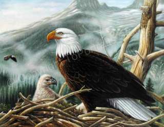 Bald Eagle Nest   Original Oil Art Painting On Canvas  