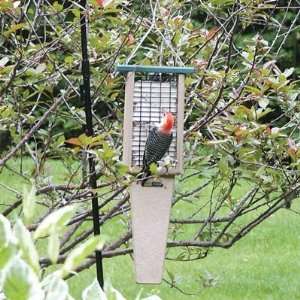   Double Cake Pileated Suet Feeder   Green Roof Patio, Lawn & Garden