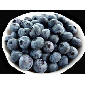 Willamette Valley Fruit Company Blueberry All Natural IQF Frozen Fruit 