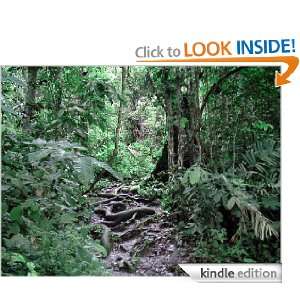 The Lost Souls   A Jungle Adventure Robert Apold  Kindle 