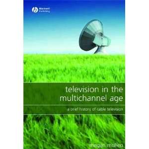  Television in the Multichannel Age Megan Mullen Books