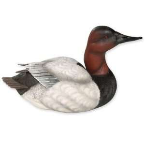 Alert Canvasback Duck Decoy Sculpture 