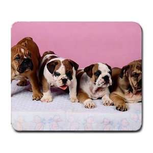  Cute English bulldog puppies Large Mousepad mouse pad 