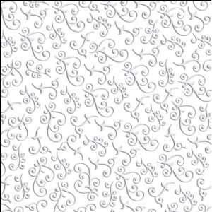   Embossed Cardstock 12X12 Flourish/White Arts, Crafts & Sewing