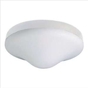   Light Ceiling Fan Light Kit, White Powder coat Finish with Opal Glass