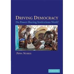  Driving Democracy Do Power Sharing Institutions Work 