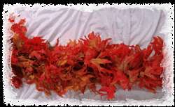 Preserved Red Oak Leaf Holiday Garland  