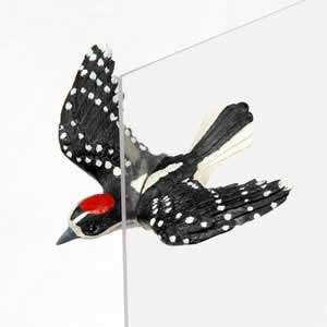 FLY THRU WINDOW MAGNET Downey Woodpecker Ornament NEW  
