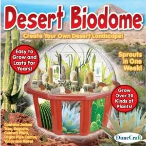  New   Desert Biodome Terrarium Kit Case Pack 6   705667 
